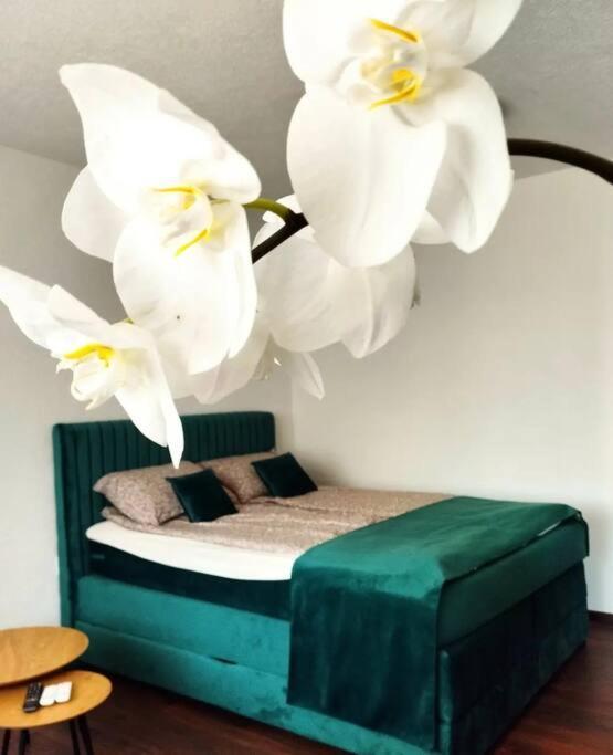 Zeid City Center Apartment SJJ Esterno foto