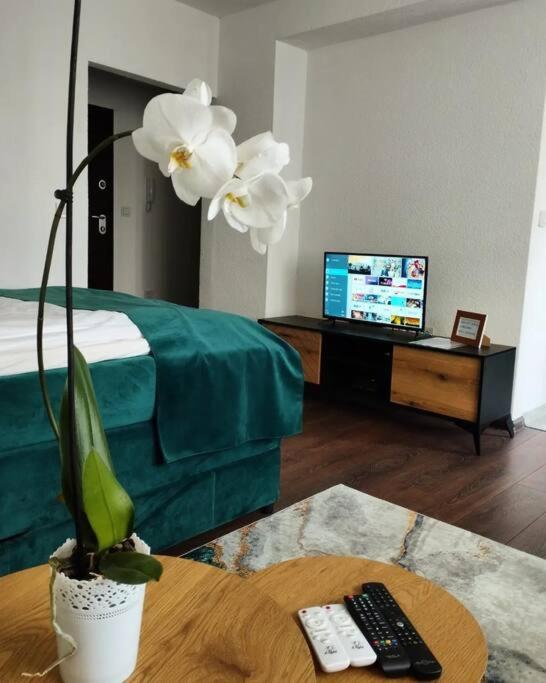 Zeid City Center Apartment SJJ Esterno foto